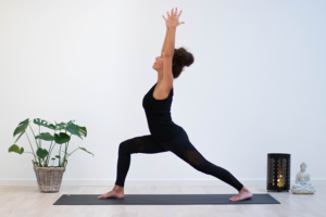 Yoga Byljungstrøm Priser