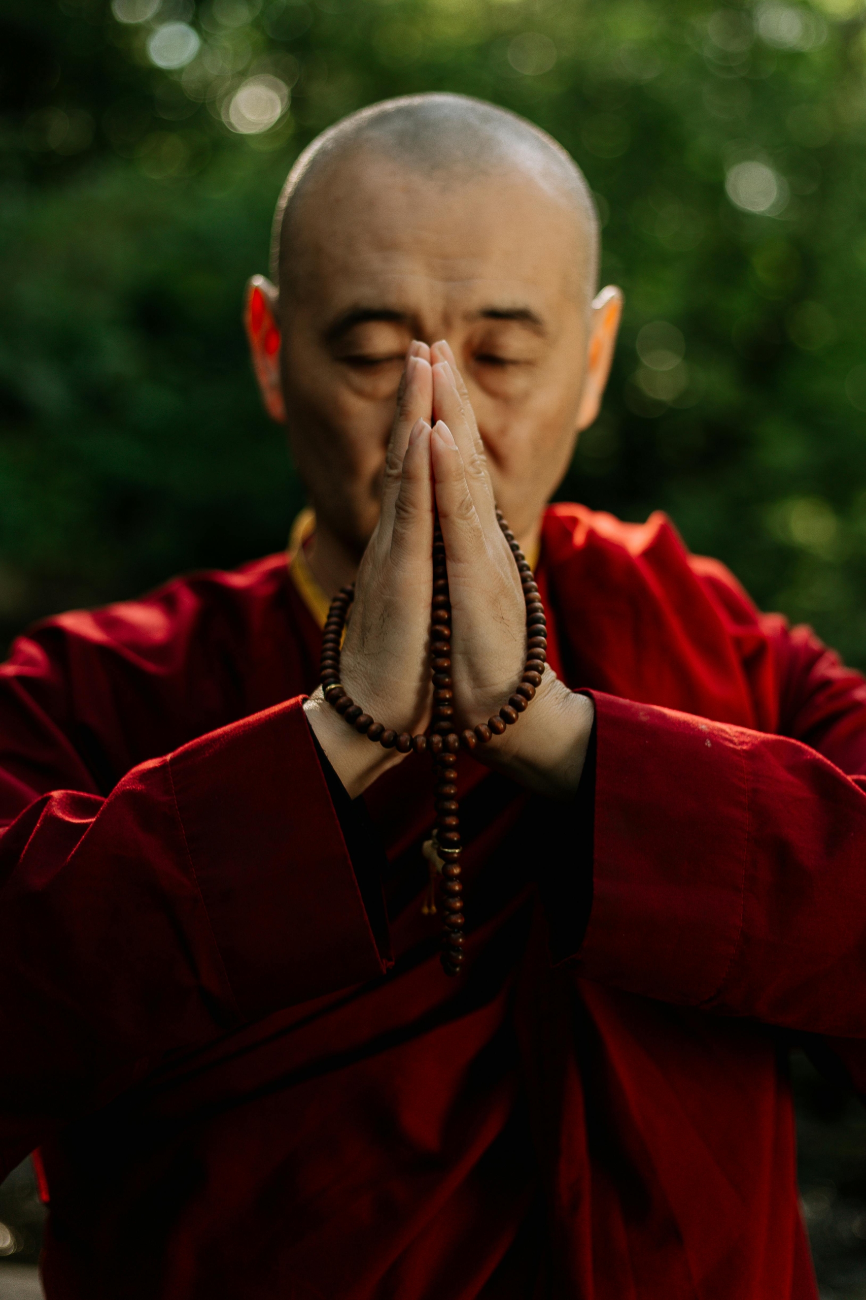 Lama1