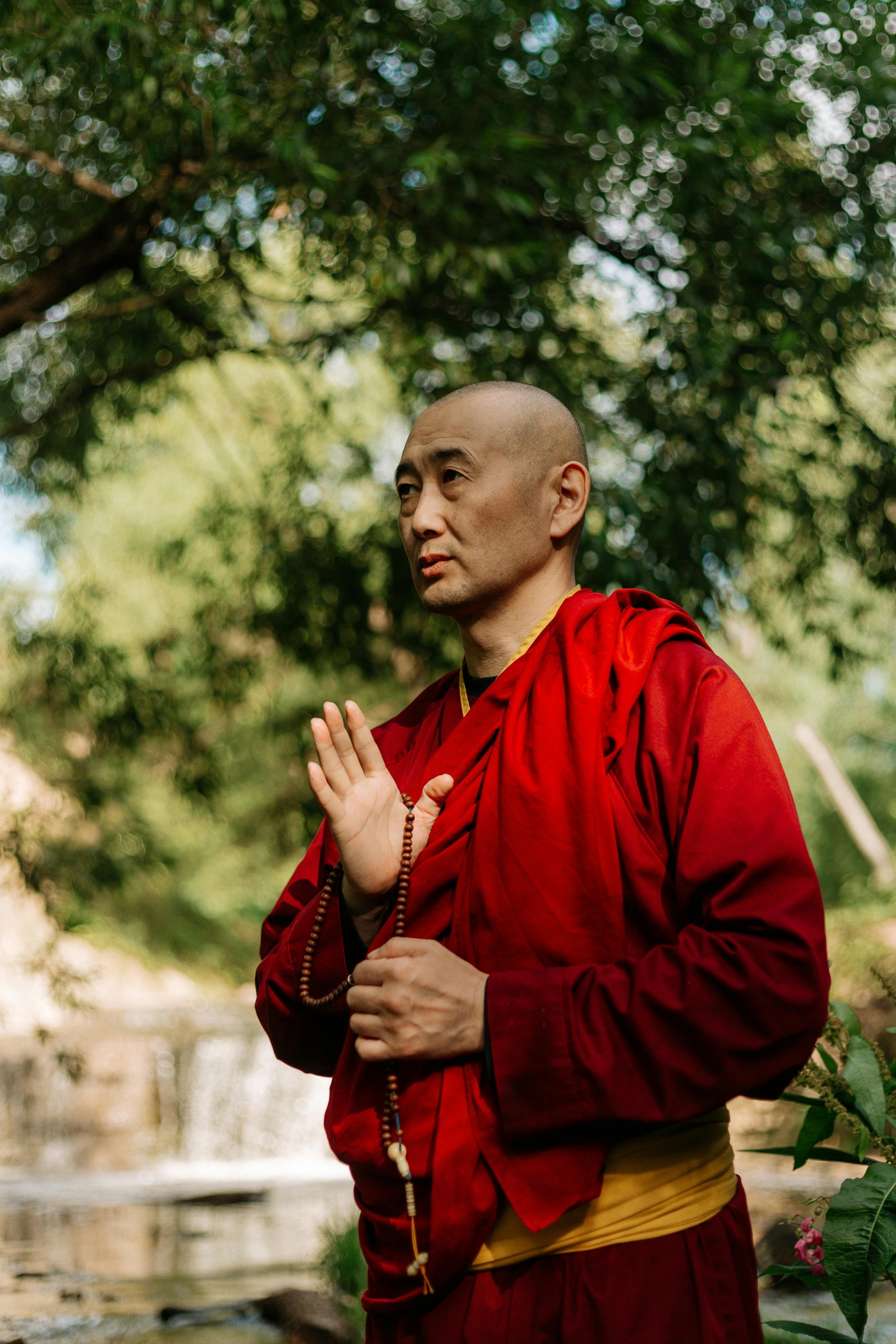 lama2